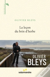 Capa do artigo La Leçon Du Brin D