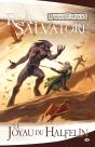 La Légende De Drizzt T.6 ; Le Joyau Du Halfelin - Preview