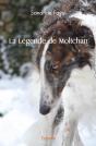 La Légende De Moltchan - Preview