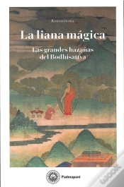 Capa do artigo La Liana Magica