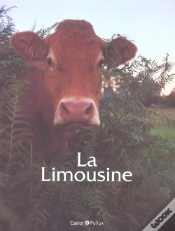 Capa do artigo La Limousine