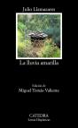 La Lluvia Amarilla - Preview