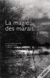 Capa do artigo La Magie Des Marais