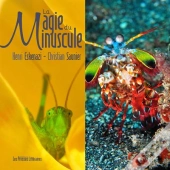 La Magie Du Minuscule