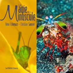 Capa do artigo La Magie Du Minuscule