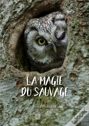 Capa do artigo La Magie Du Sauvage