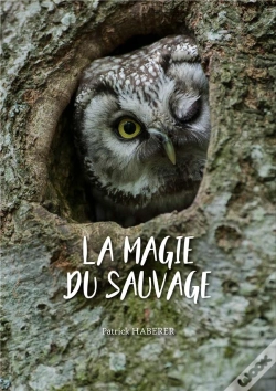 Capa do artigo La Magie Du Sauvage