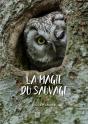 La Magie Du Sauvage - Preview