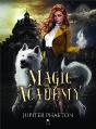 La Magie Oubliee - Preview