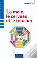 La Main, Le Cerveau Et Le Toucher