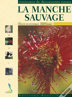 Capa do artigo La Manche Sauvage