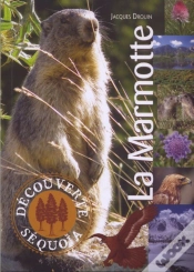 Capa do artigo La Marmotte
