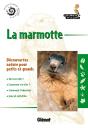 La Marmotte - Preview