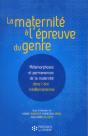 La Maternité À L'Épreuve Du Genre ; Métamorphoses Et Permanences De La Maternité Dans L'Aire Méditerranéenne - Preview