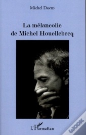 La Mélancolie De Michel Houellebecq