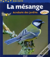La Mésange ; Acrobate Des Jardins