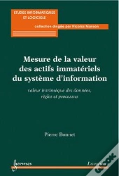 La Mesure Des Actifs Immateriels Du Si