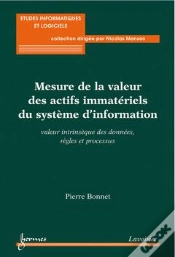 Capa do artigo La Mesure Des Actifs Immateriels Du Si