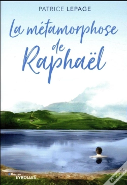 Capa do artigo La Metamorphose De Raphael