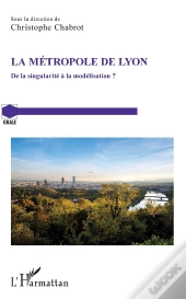 La Metropole De Lyon - De La Singularite A La Modelisation ?
