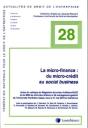 La Micro-Finance : Du Micro-Crédit Au Social Business - Preview