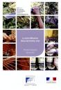 La Microfinance Dans Les Outre-Mer - Preview