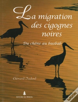 Capa do artigo La Migration Des Cigognes Noires : Du Chêne Au Baobab