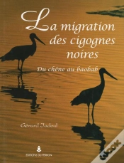 Capa do artigo La Migration Des Cigognes Noires : Du Chêne Au Baobab