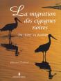 La Migration Des Cigognes Noires - Preview