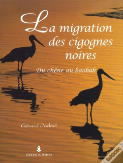 Capa do artigo La Migration Des Cigognes Noires