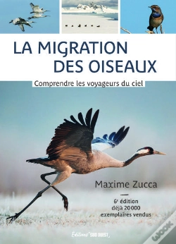 Capa do artigo La Migration Des Oiseaux : Comprendre Les Voyageurs Du Ciel (6e Édition)