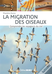 Capa do artigo La Migration Des Oiseaux : Comprendre Les Voyageurs Du Ciel