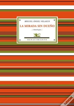 Capa do artigo La Mirada Sin Dueño