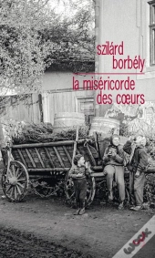 La Miséricorde Des Coeurs