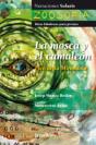 La Mosca Y El Camaleón - Preview
