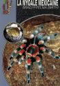 La Mygale Mexicaine - Preview