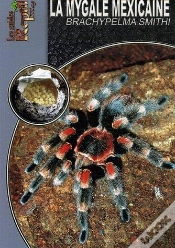 Capa do artigo La Mygale Mexicaine