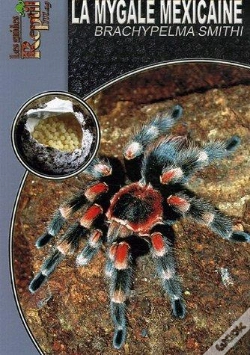 Capa do artigo La Mygale Mexicaine