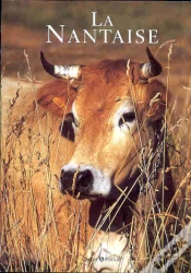 Capa do artigo La Nantaise