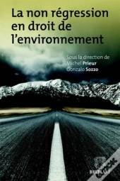 La Non Regression En Droit De L'Environnement