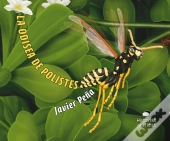 La Odisea De Polistes