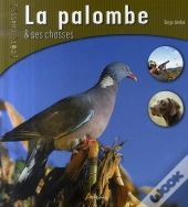 La Palombe Et Ses Chasses