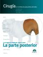 La Parte Posterior. Cirugía En La Clínica De Pequeños Animales - Preview