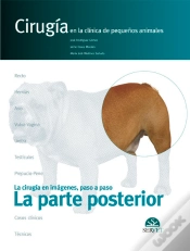 Capa do artigo La Parte Posterior. Cirugía En La Clínica De Pequeños Animales