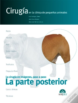 Capa do artigo La Parte Posterior. Cirugía En La Clínica De Pequeños Animales