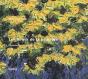 La Passion De La Peinture - Preview