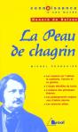 La Peau De Chagrin, D'Honoré De Balzac - Preview