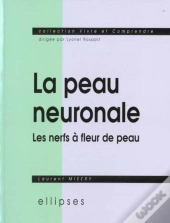 La Peau Neuronale Ou Les Nerfs À Fleur De Peau