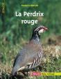 La Perdrix Rouge - Preview