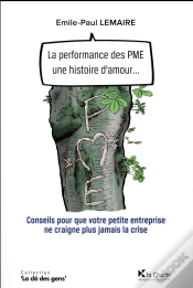 Capa do artigo La Performance Des Pme, Une Histoire D